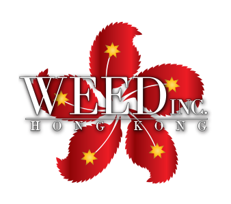 hongkong-new (1)